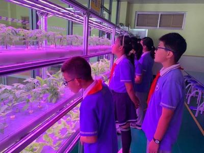 威海這所小學里藏著個植物工廠 當一粒種子，成為一座實踐教育的橋梁